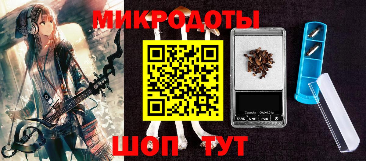 Галлюциногенные грибы Psilocybe Архангельск